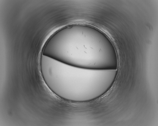 X0000113031392200908271045