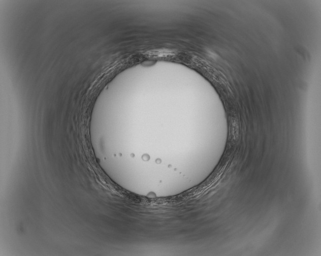 X0000113031393200908271045