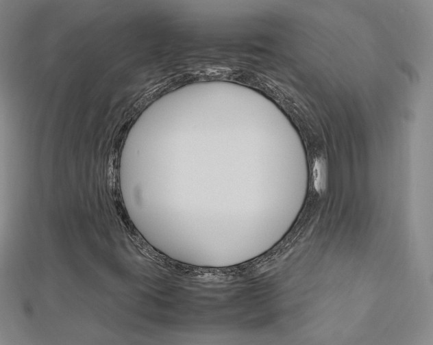 X0000113031395200908271045