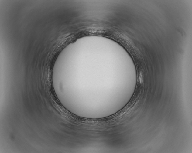 X0000113031396200908271045