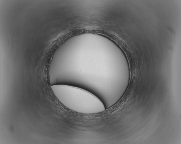 X0000113031398200908271045
