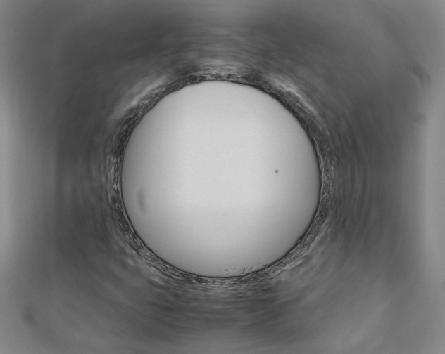 X0000113031399200908271045