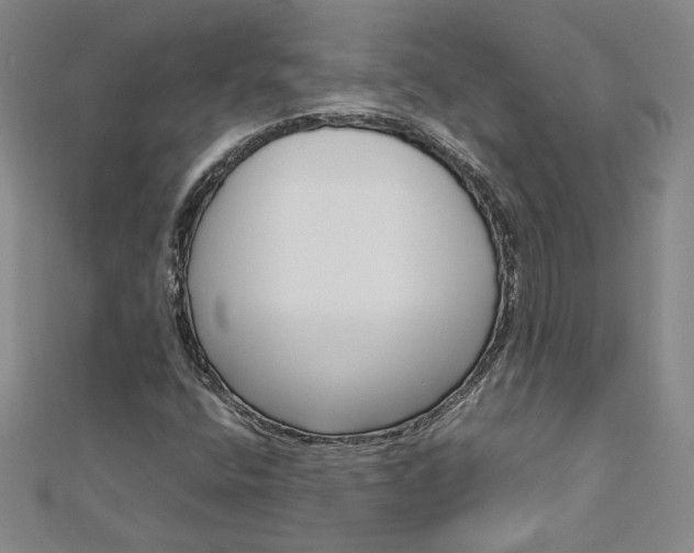 X0000113031400200908271045