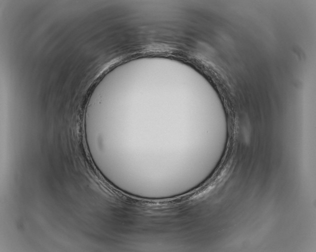 X0000113031401200908271045