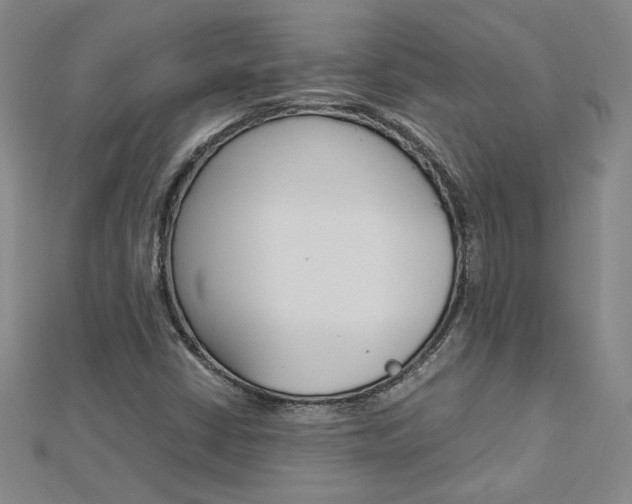 X0000113031402200908271045