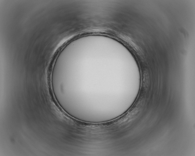 X0000113031404200908271045