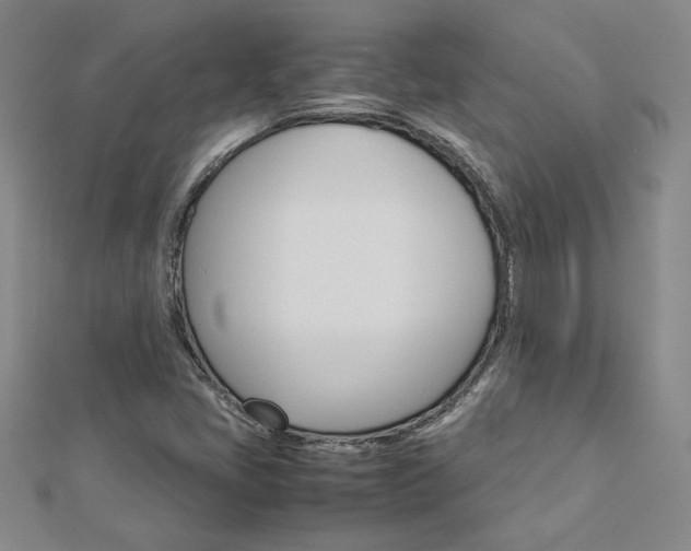 X0000113031405200908271045