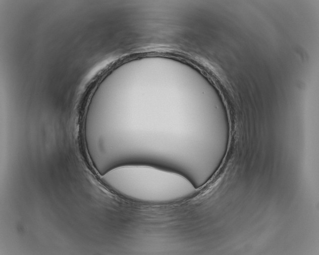X0000113031406200908271045