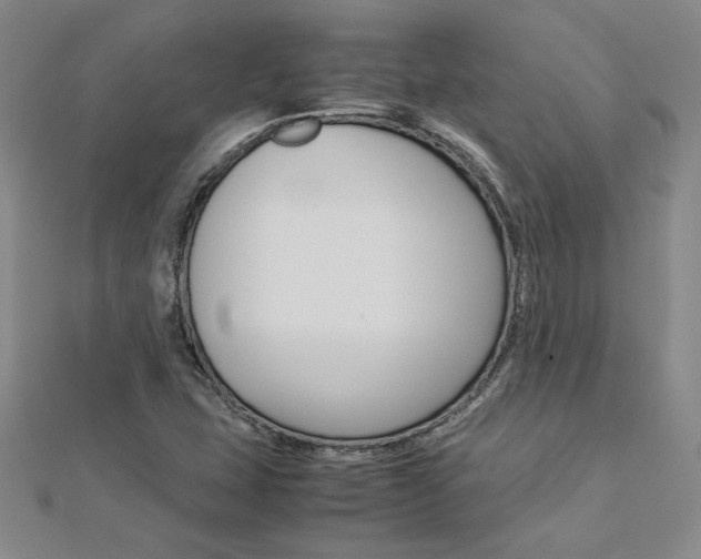 X0000113031407200908271045