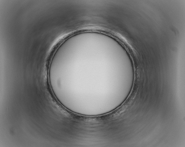 X0000113031408200908271045