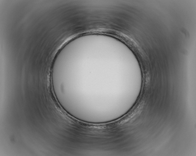 X0000113031409200908271045