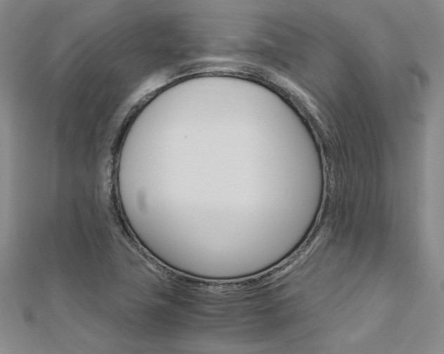 X0000113031411200908271045