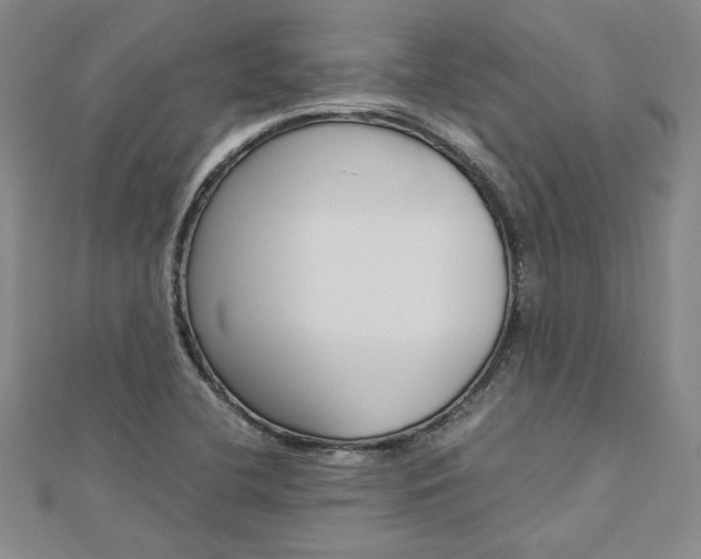 X0000113031412200908271045