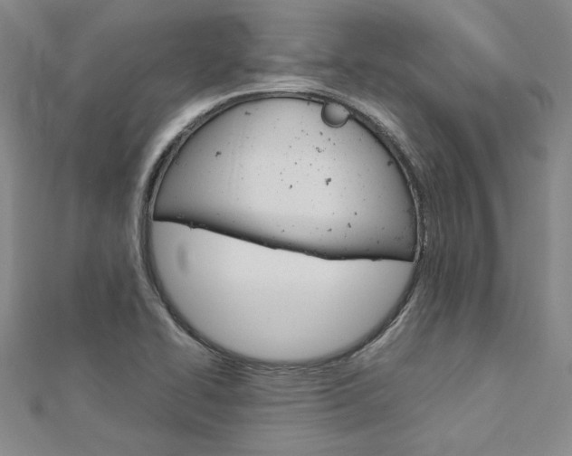 X0000113031414200908271045