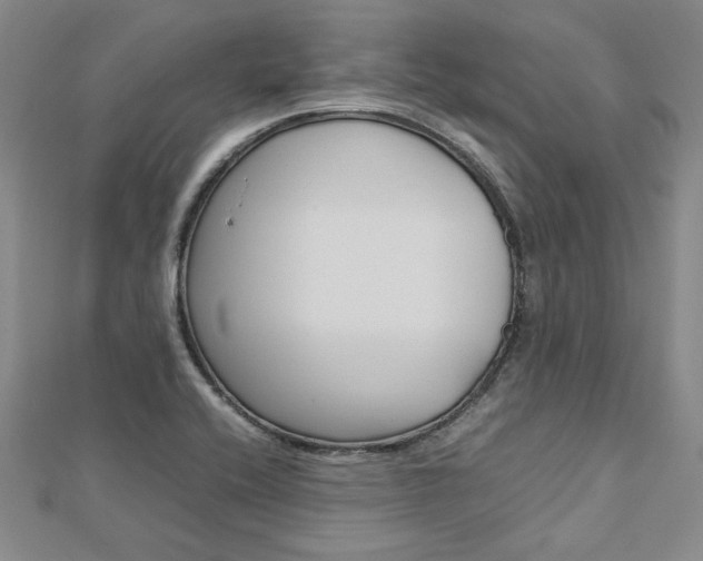 X0000113031416200908271045