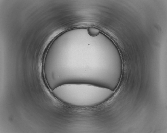 X0000113031418200908271045