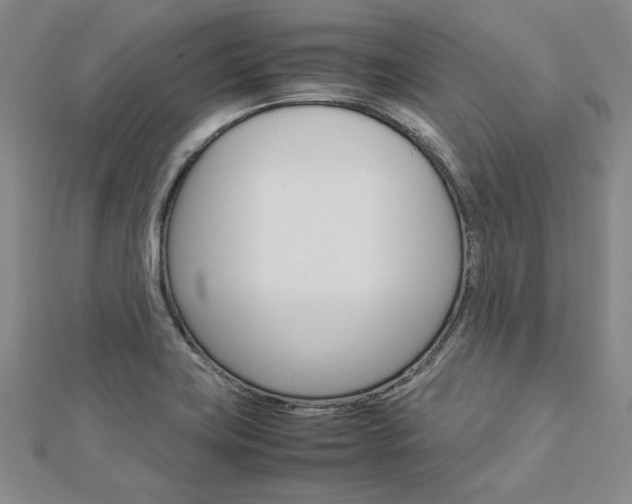 X0000113031419200908271045