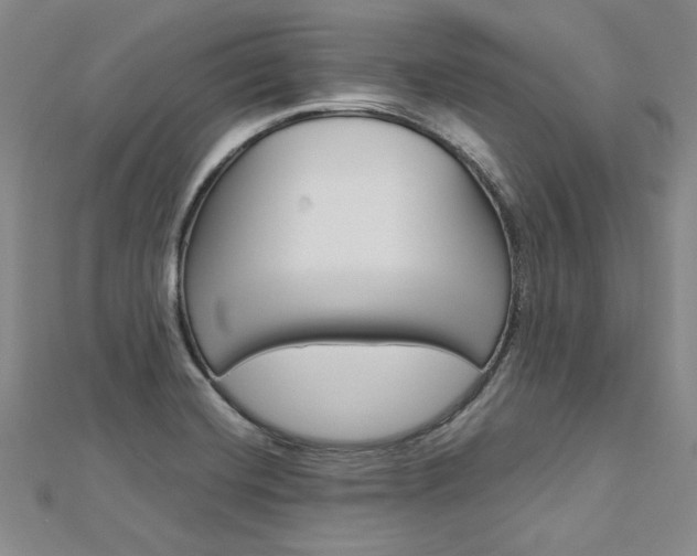 X0000113031420200908271045