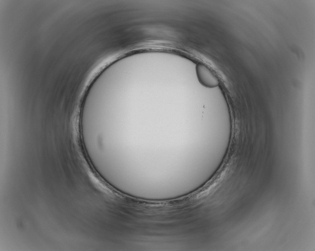 X0000113031421200908271045