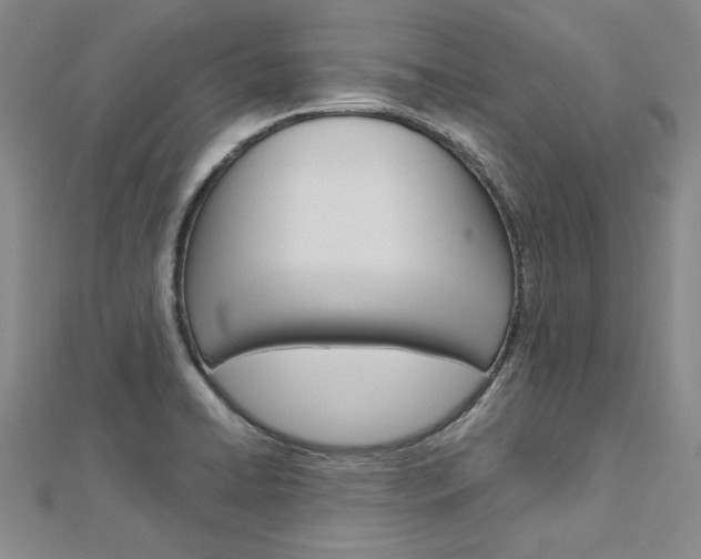 X0000113031422200908271045