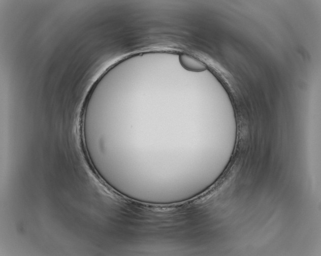 X0000113031423200908271045