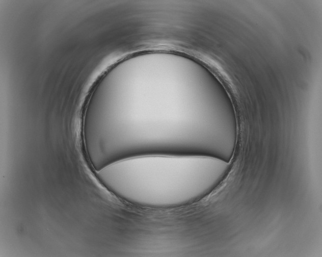 X0000113031424200908271045