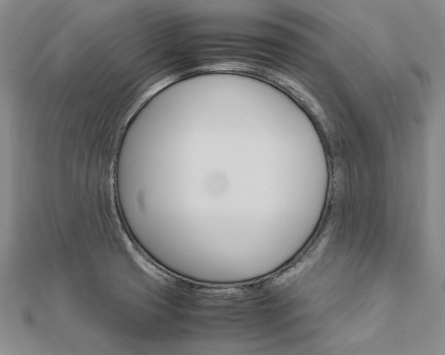 X0000113031425200908271045
