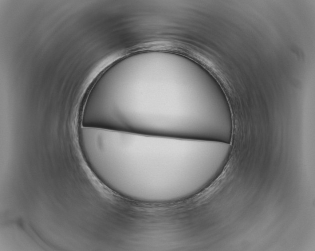 X0000113031426200908271045