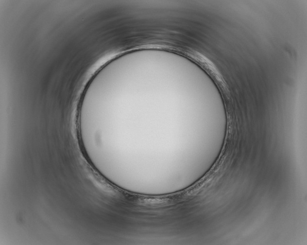 X0000113031427200908271045