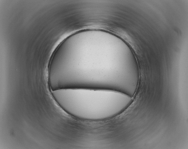 X0000113031428200908271045