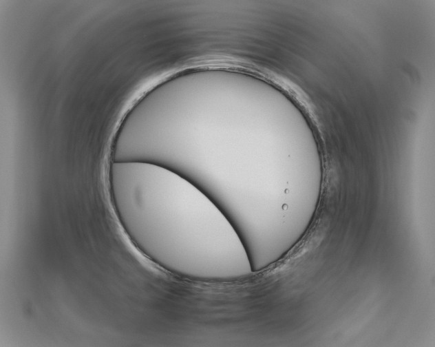 X0000113031429200908271045