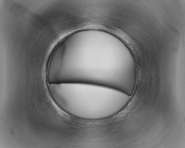 X0000113031430200908271045