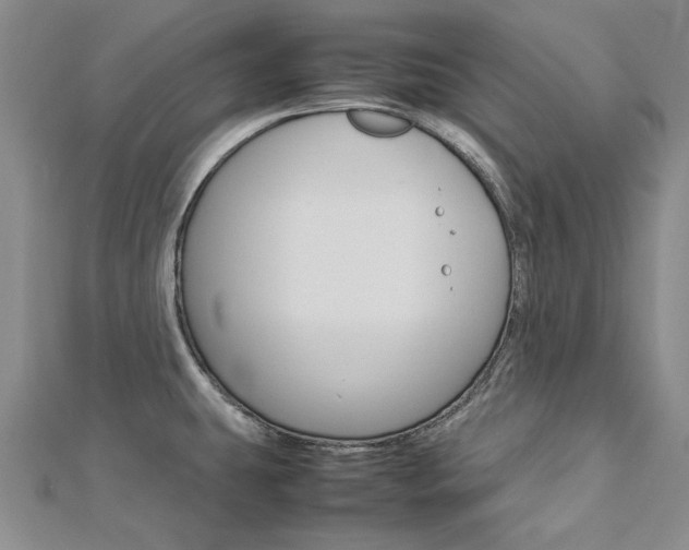 X0000113031431200908271045