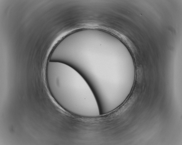 X0000113031432200908271045