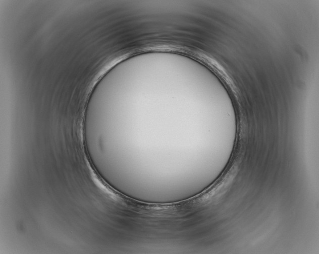 X0000113031433200908271045