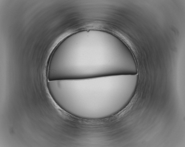 X0000113031434200908271045