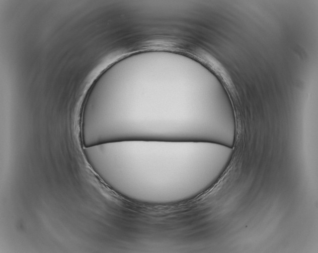 X0000113031435200908271045