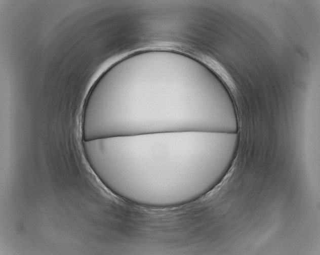 X0000113031436200908271045