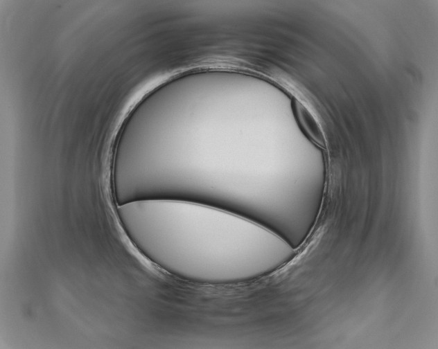 X0000113031437200908271045