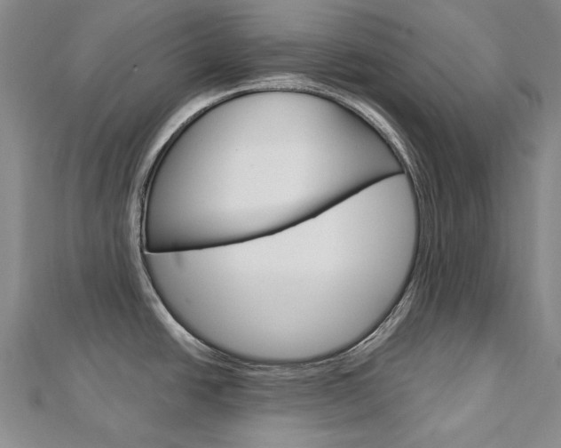 X0000113031438200908271045