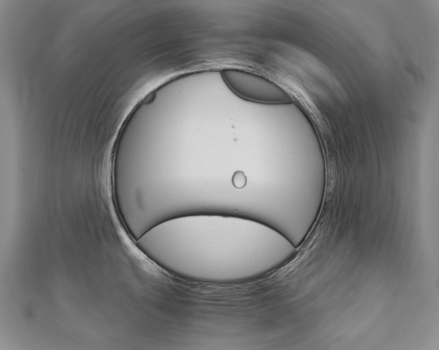 X0000113031439200908271045