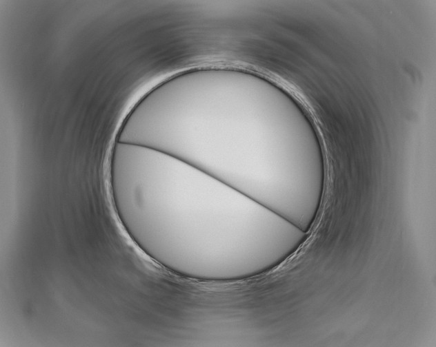 X0000113031440200908271045