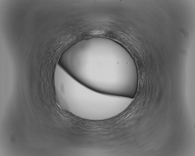 X0000113031441200908271045