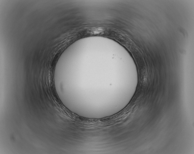 X0000113031442200908271045