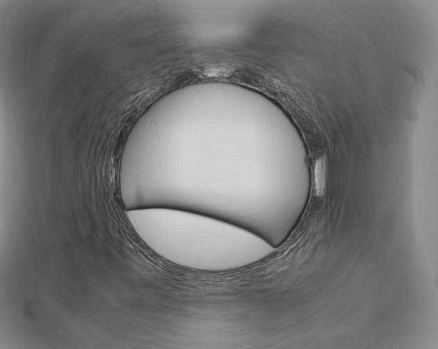 X0000113031443200908271045