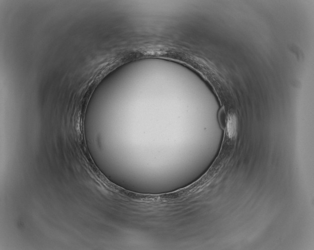X0000113031444200908271045