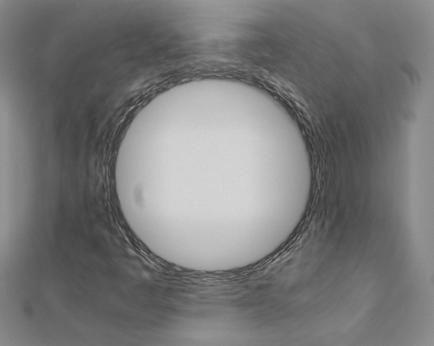 X0000113031445200908271045