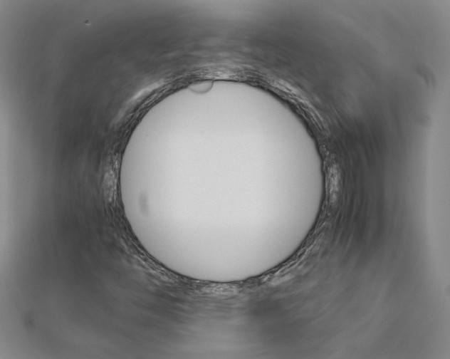 X0000113031446200908271045