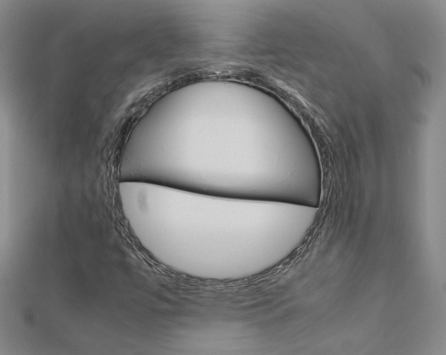 X0000113031447200908271045