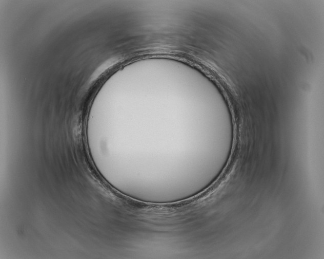 X0000113031450200908271045